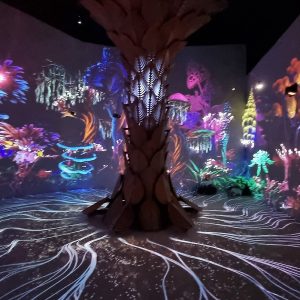 Ikono, the immersive experience